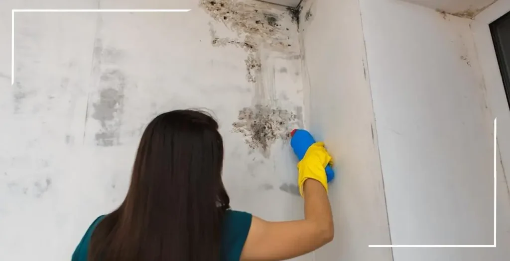 ¿Quién debe responder por las humedades en mi apartamento? 2 Quién debe responder por humedades 02