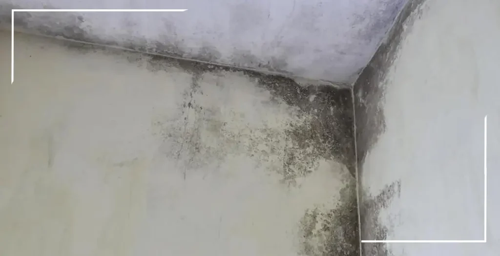 ¿Quién debe responder por las humedades en mi apartamento? 3 Quién debe responder por humedades 03