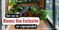 bienes de uso exclusivo